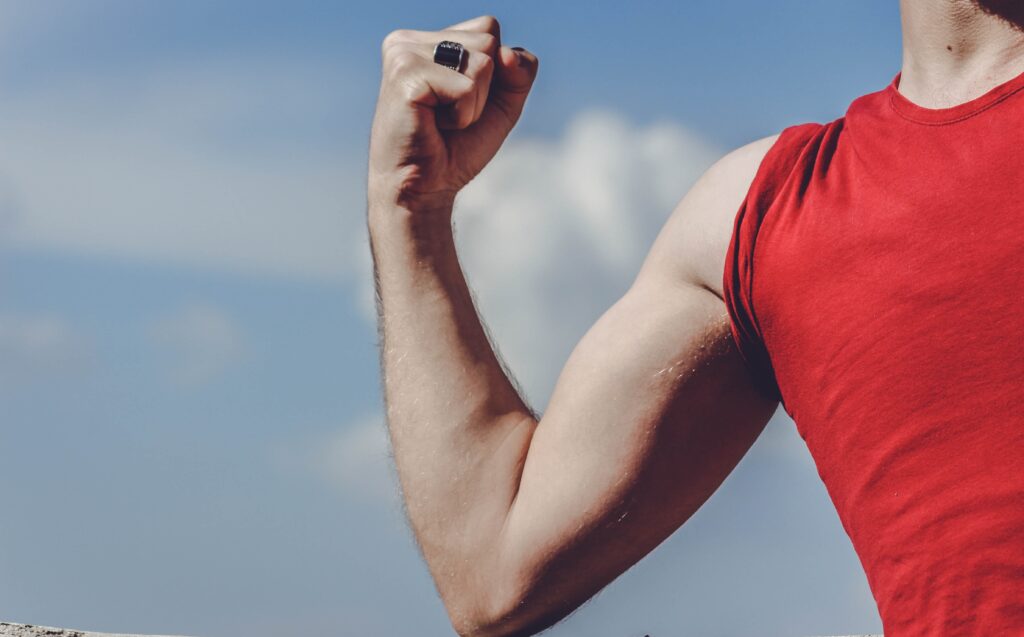 Prise de masse bras : programme et exercices pour muscler vos bras
